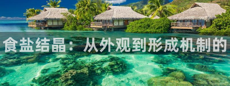 威九国际最新