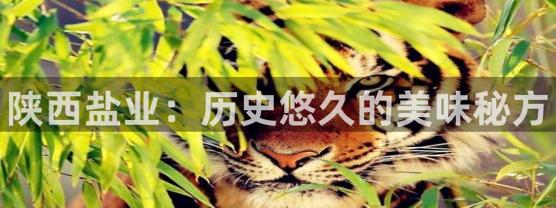 威九国际人民网招聘