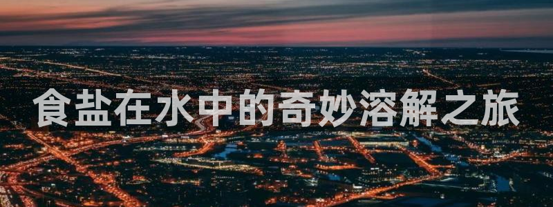 威九国际女艺人