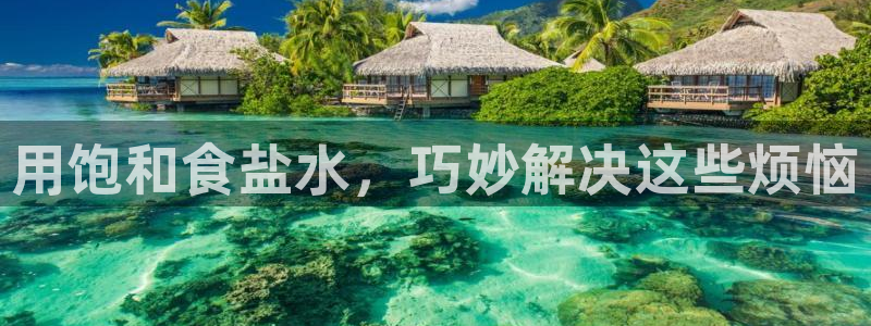 威九国际海域