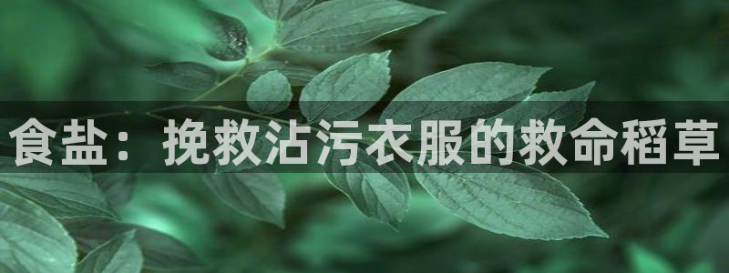 威九国际app入口官网