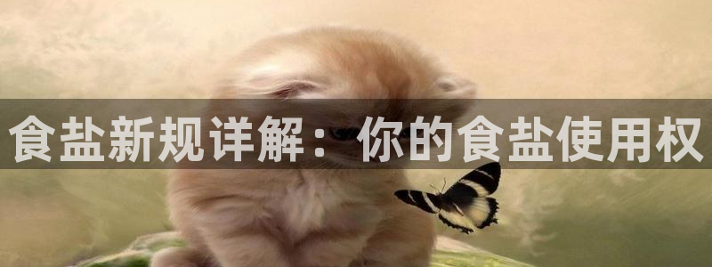 威九国际清砖码头在哪