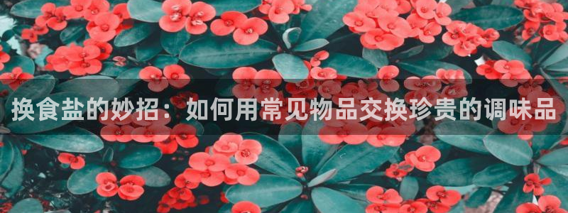 66m威九国际成长模式
