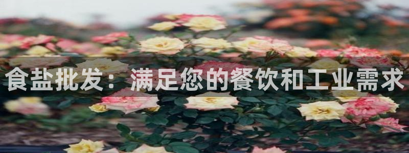 威九国际78mob游戏亮点