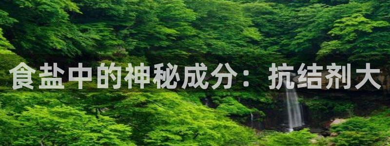 威九国际78m域名