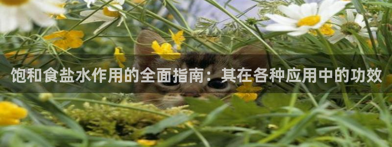 威九国际网站客服电话多少啊