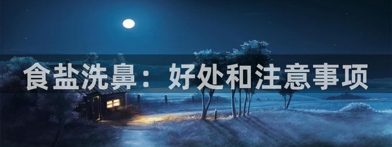 威九国际ppt免费下载