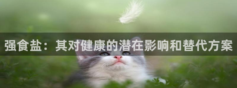 威九国际游戏入口
