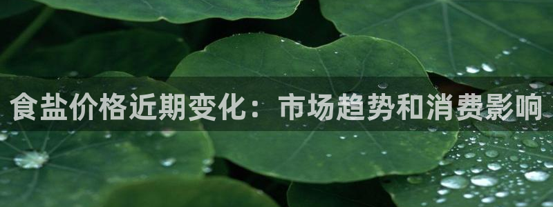 保定威九网络科技有限公司电话