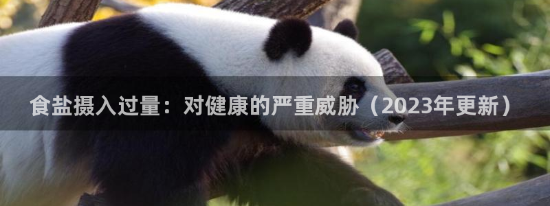 威九国际网站链接怎么打开