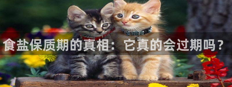 威九国际网站进入产品中心