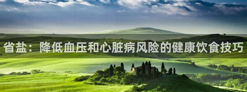 威九国际演员表