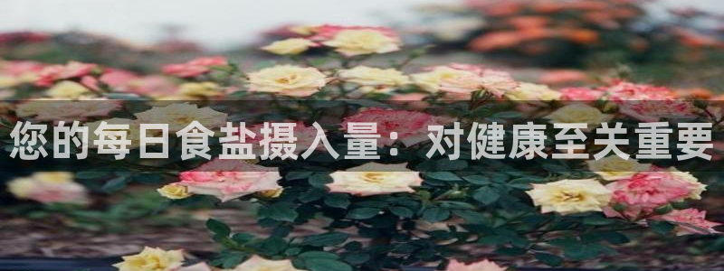 威九国际全国空降