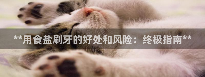 威九国际电视怎么样