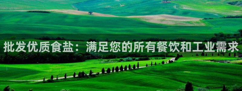保定威九网络科技有限公司是干嘛的