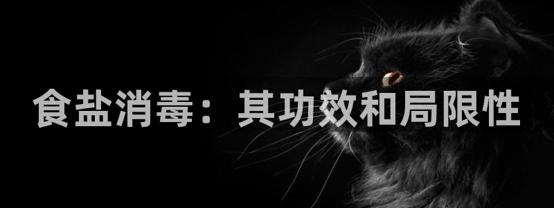 66m威九国际精选