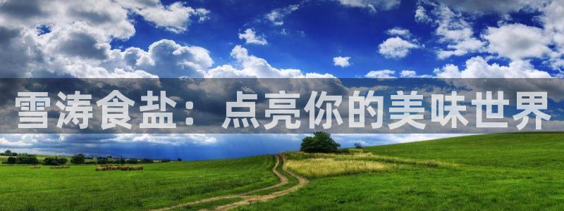 66m威九国际精选