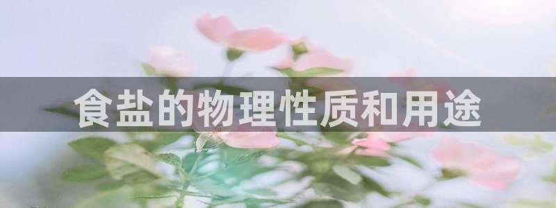 威九国际网站入口地址查询
