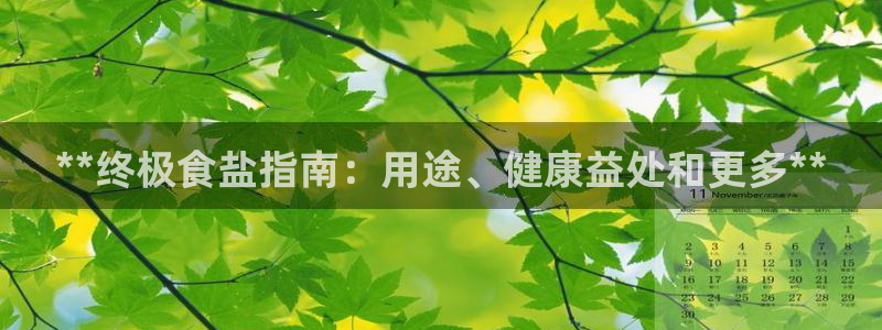 威九国际网站入口官网首页