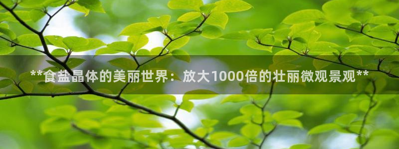 威九国际78mb玩法
