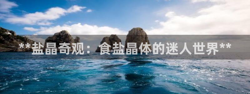 威九国际APP大全