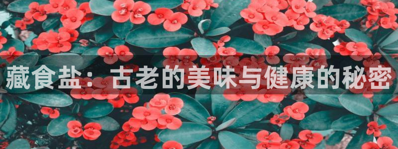 威九国际66m66m电影