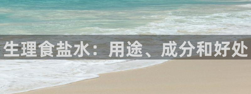 威九国际H