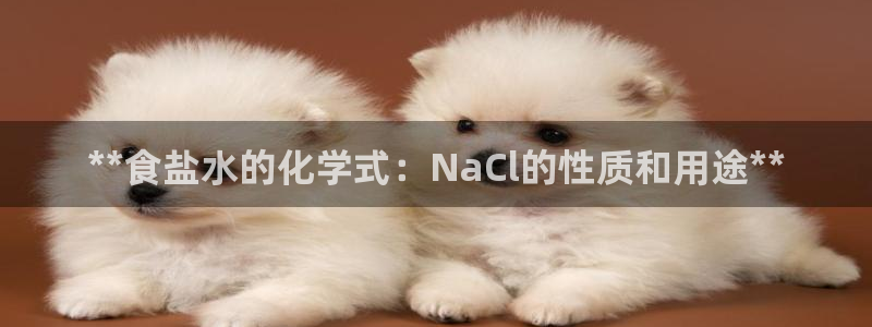 威九国际官方入口官网