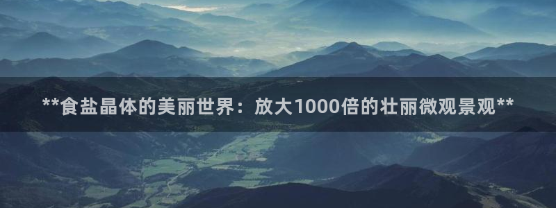 威九国际坑人的嘛