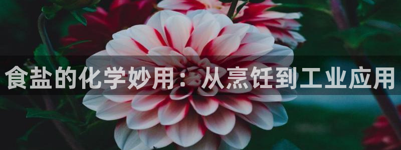 威九国际网站安全吗