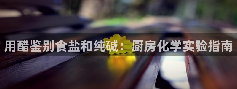 威九国际软件