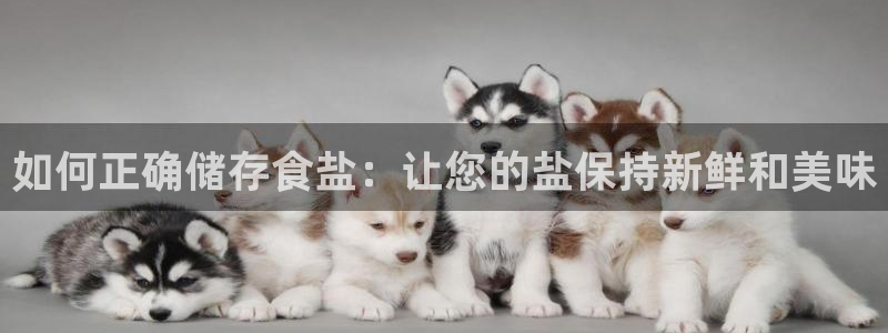 威九国际网站入口官网游戏推荐