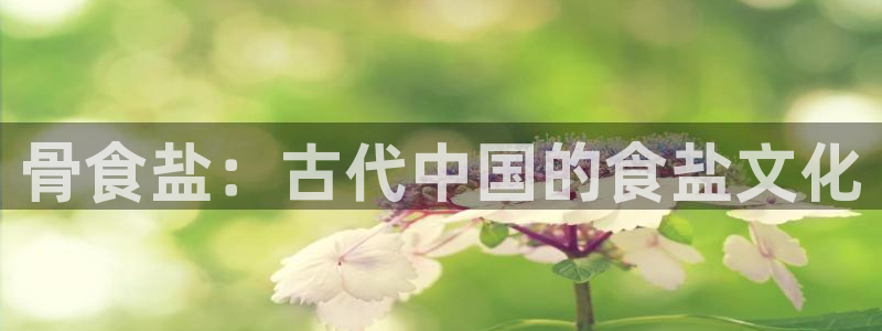 威九国际下载