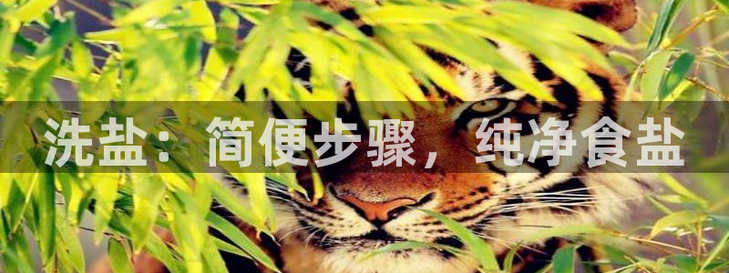 威九国际网站入口rdquo