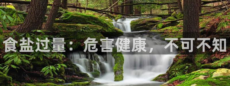 保定威九网络科技有限公司电话