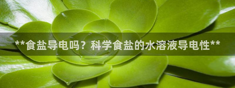 威九国际官网版