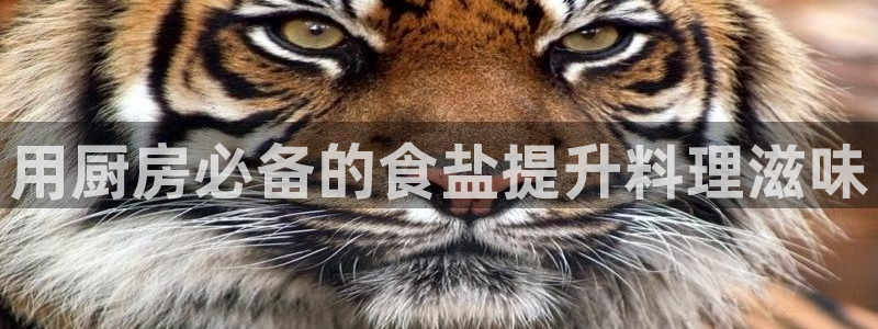 威九国际app无法登陆怎么回事