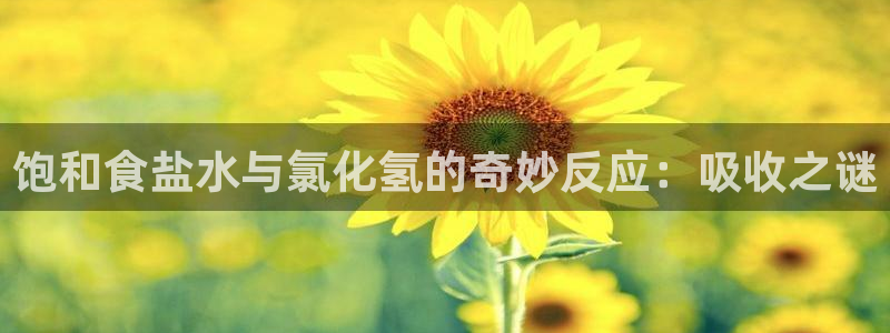 威九国际服