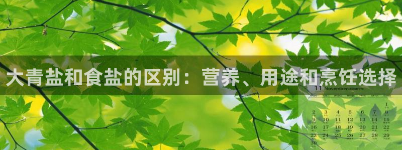 威九国际可以提现吗