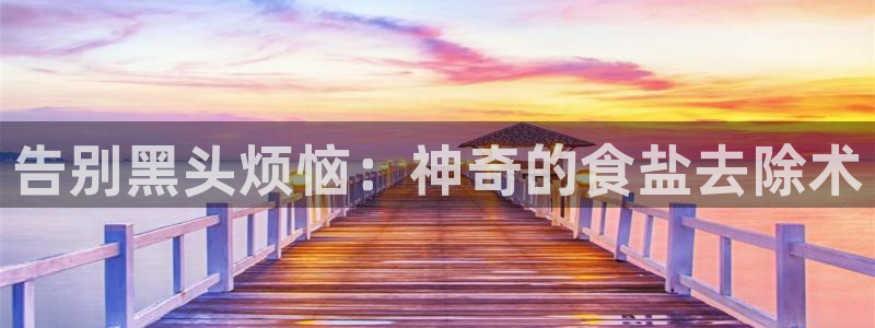 威九国际网站官网