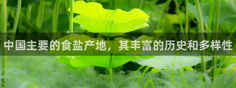 威九国际动漫