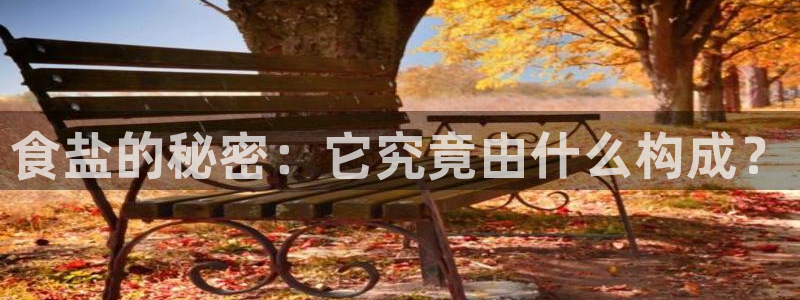 威九国际网站游戏