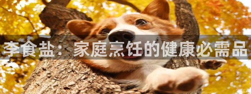 威九国际网站是多少