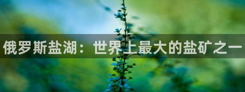 威九国际app