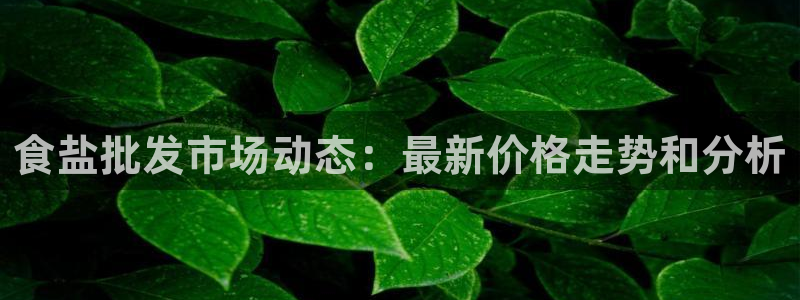 威九国际官网版
