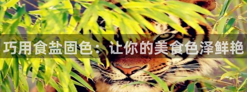 威九国际免费进入