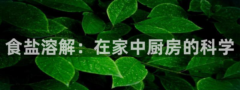 威九国际官网在线进入网站查询