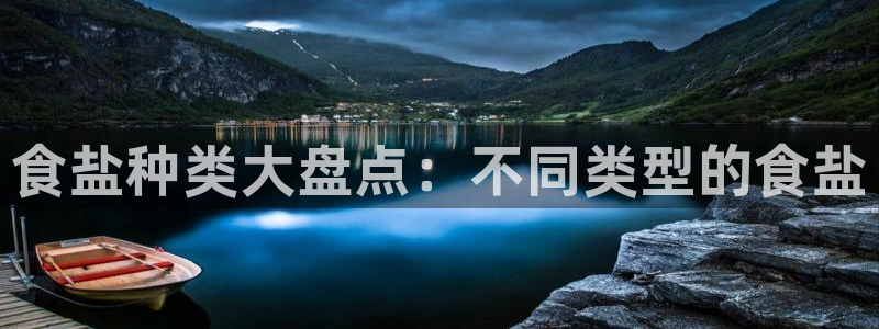 保定威九网络科技有限公司怎么样
