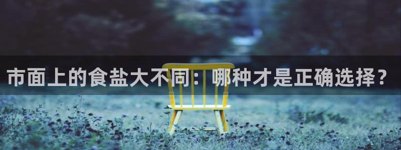 威九国际的女主