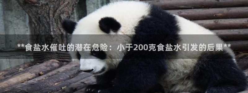 威九国际HP